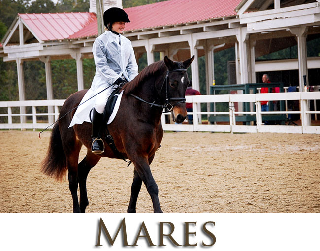 mares